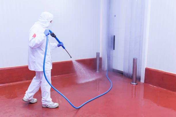 Best Winterizing Services  in Magnolia, NC
