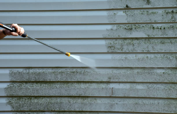 Best Roof Washing  in Magnolia, NC
