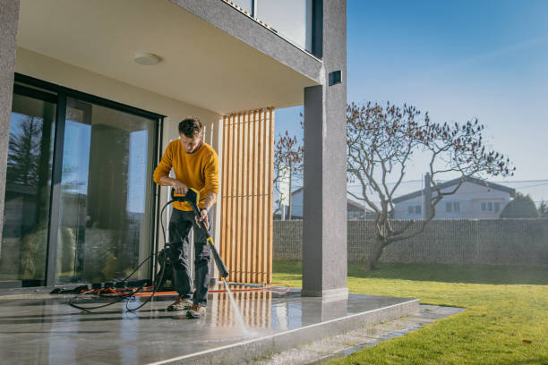 Best Sidewalk and Walkway Cleaning  in Magnolia, NC